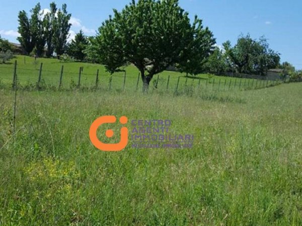 terreno agricolo in vendita a San Cesareo