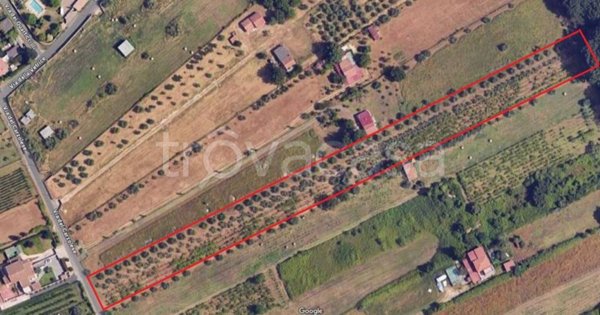 terreno agricolo in vendita a San Cesareo