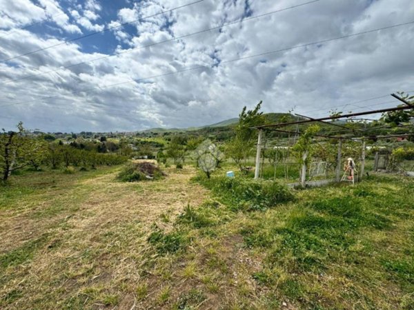 terreno agricolo in vendita a San Cesareo