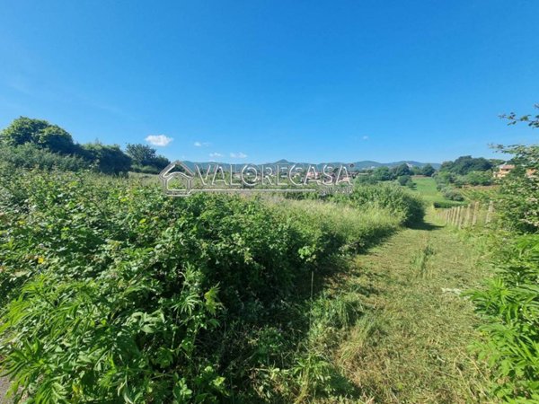 terreno agricolo in vendita a San Cesareo
