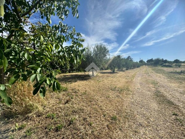 terreno agricolo in vendita a San Cesareo