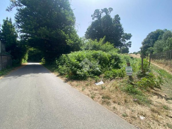 terreno agricolo in vendita a San Cesareo
