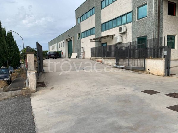 appartamento in vendita a San Cesareo