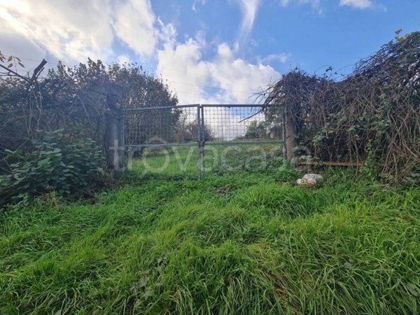 terreno agricolo in vendita a San Cesareo