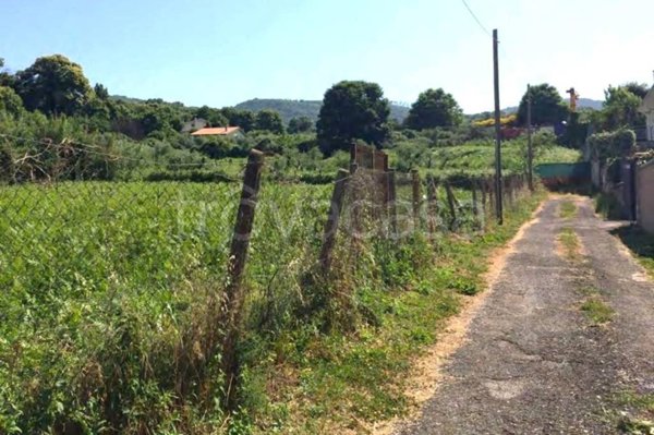 terreno agricolo in vendita a San Cesareo in zona Campo Gillaro