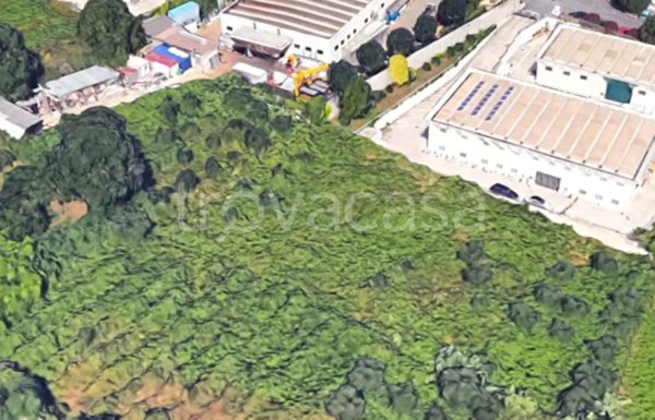 terreno agricolo in vendita a San Cesareo in zona Campo Gillaro