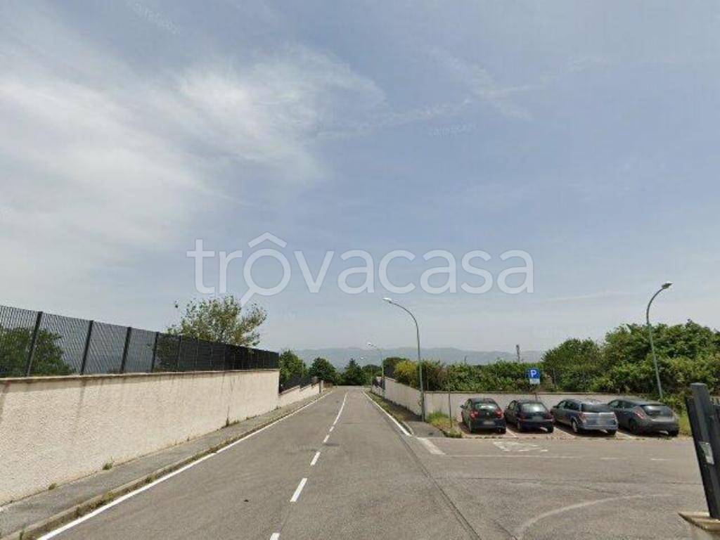 terreno agricolo in vendita a San Cesareo in zona Campo Gillaro
