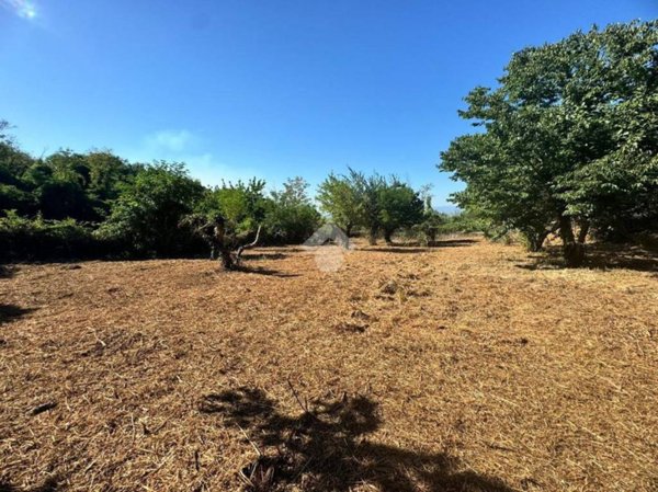 terreno agricolo in vendita a San Cesareo