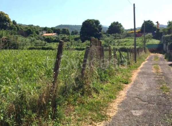terreno agricolo in vendita a San Cesareo in zona Campo Gillaro