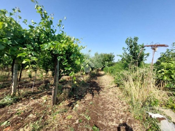 terreno agricolo in vendita a San Cesareo