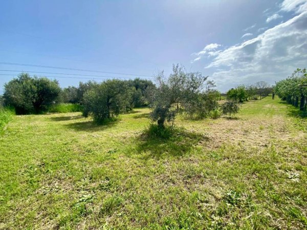 terreno agricolo in vendita a San Cesareo