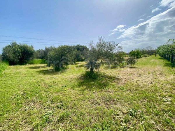 terreno agricolo in vendita a San Cesareo