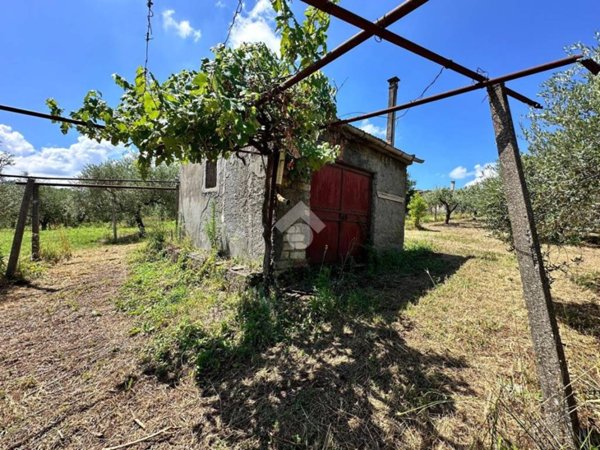 terreno agricolo in vendita a San Cesareo