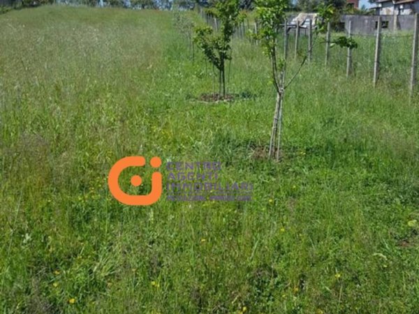 terreno agricolo in vendita a San Cesareo