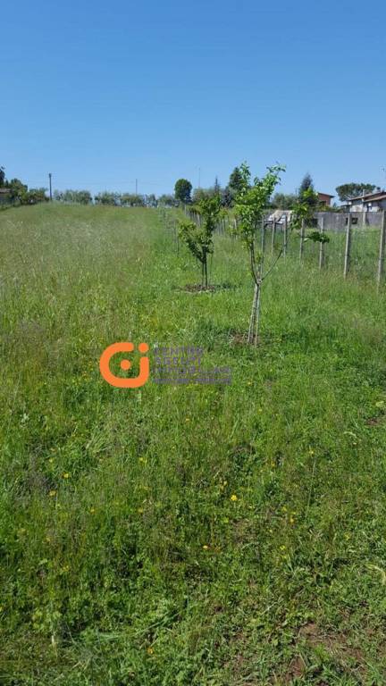 terreno agricolo in vendita a San Cesareo