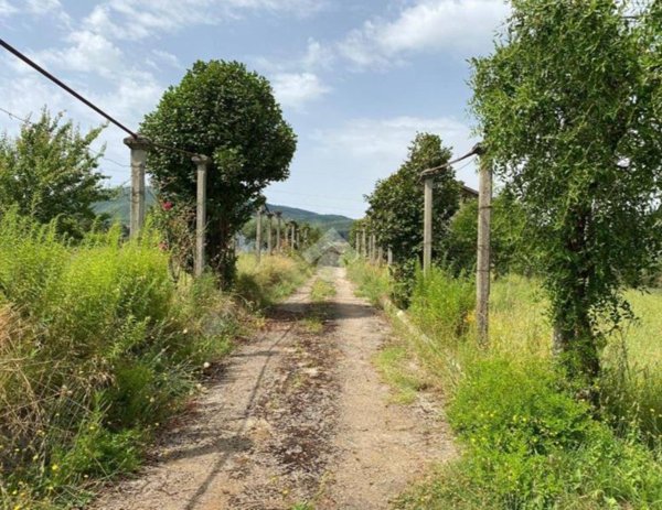 casa indipendente in vendita a San Cesareo in zona Colle di Fuori