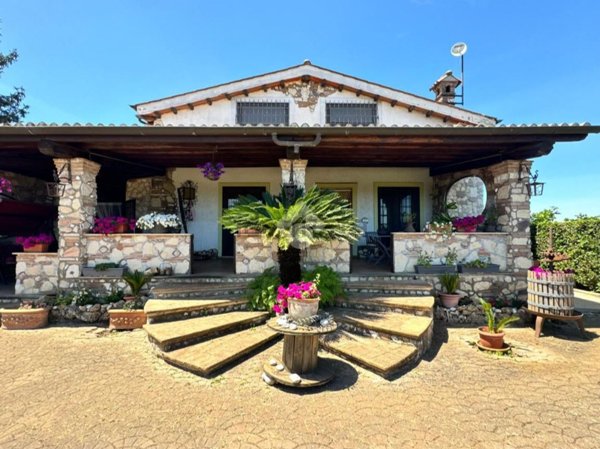 esavano in vendita a San Cesareo