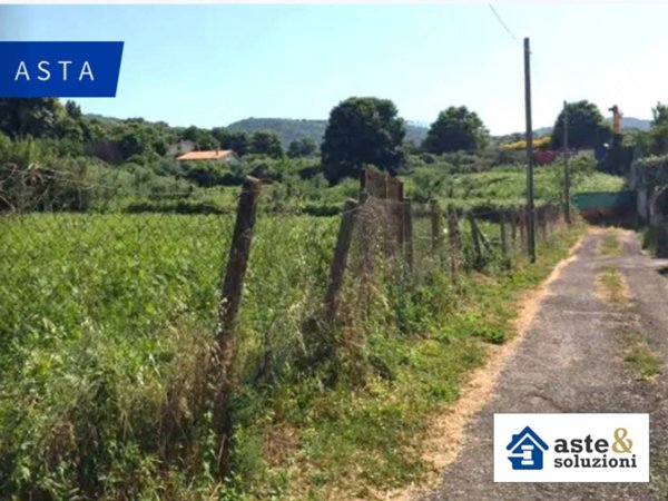 terreno agricolo in vendita a San Cesareo in zona Campo Gillaro