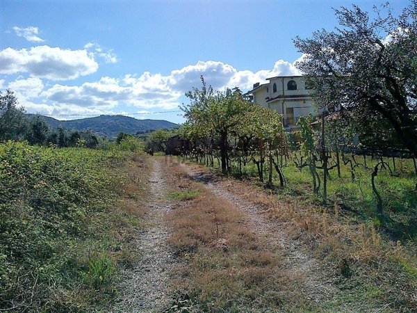 terreno agricolo in vendita a San Cesareo