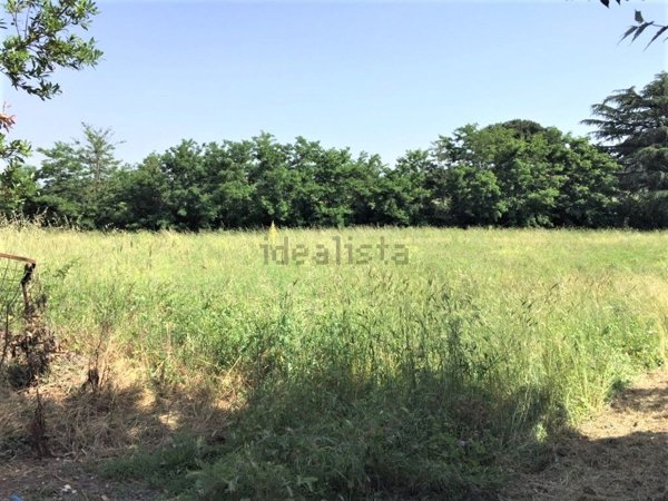 terreno agricolo in vendita a San Cesareo