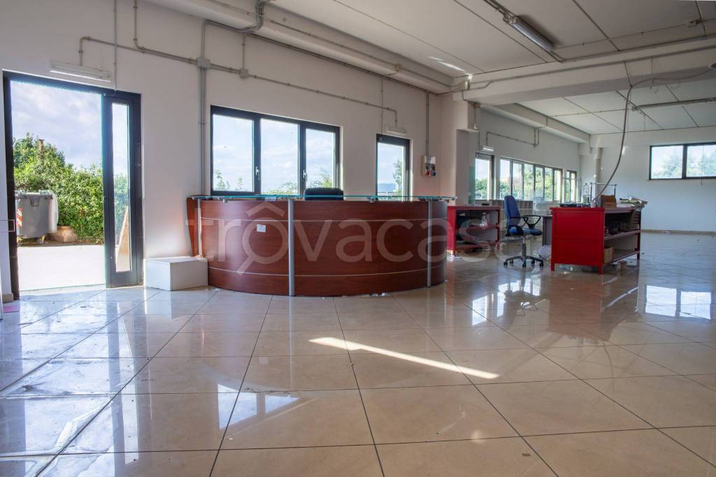 locale commerciale in vendita a San Cesareo