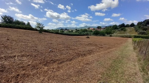 terreno agricolo in vendita a San Cesareo