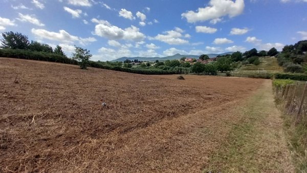 terreno agricolo in vendita a San Cesareo