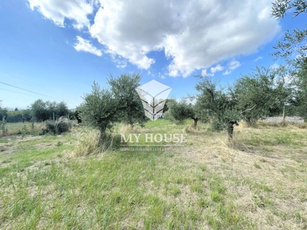 terreno agricolo in vendita a San Cesareo in zona Campo Gillaro