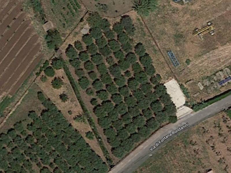 terreno agricolo in vendita a San Cesareo