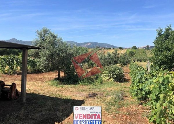 terreno agricolo in vendita a San Cesareo