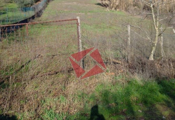 terreno agricolo in vendita a San Cesareo in zona Colle di Fuori