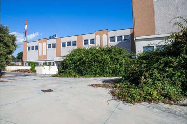 loft in vendita a San Cesareo