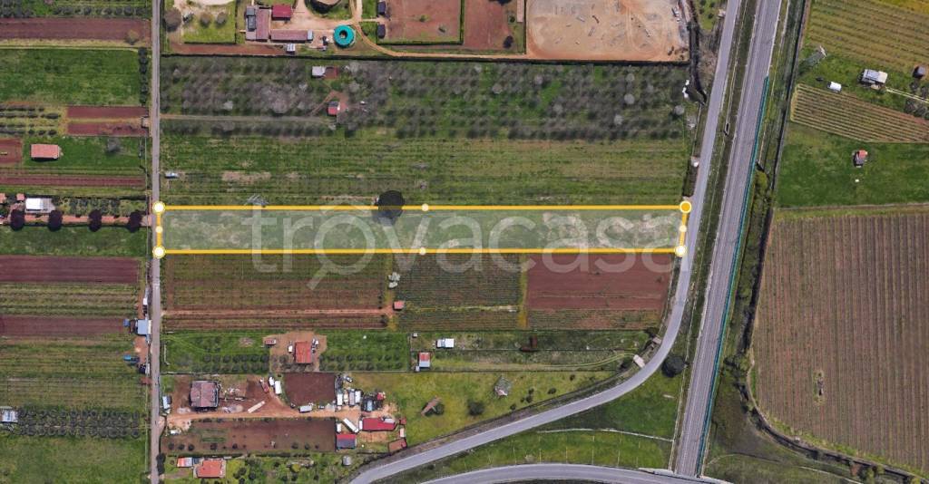 terreno agricolo in vendita a San Cesareo