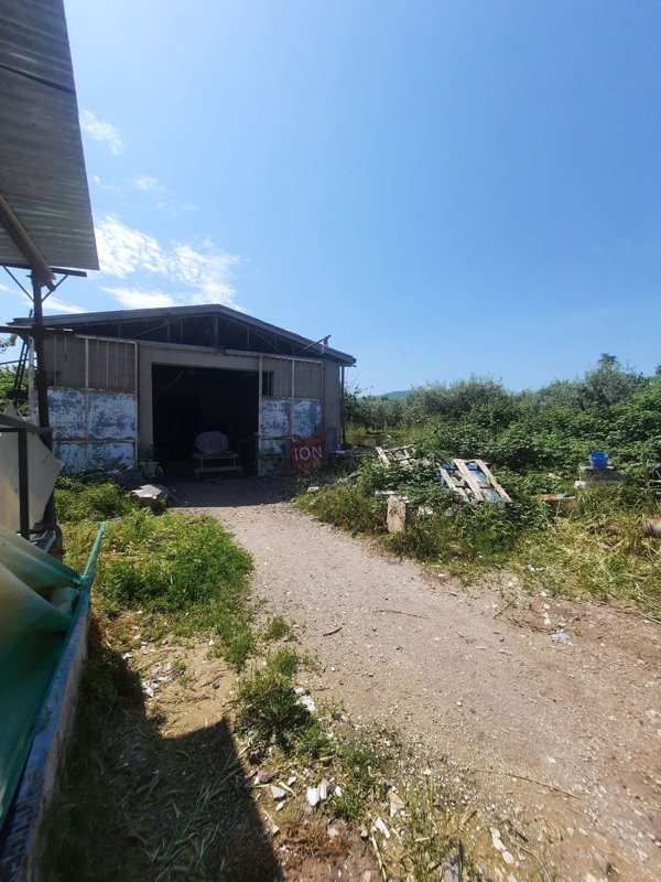 locale commerciale in vendita a San Cesareo