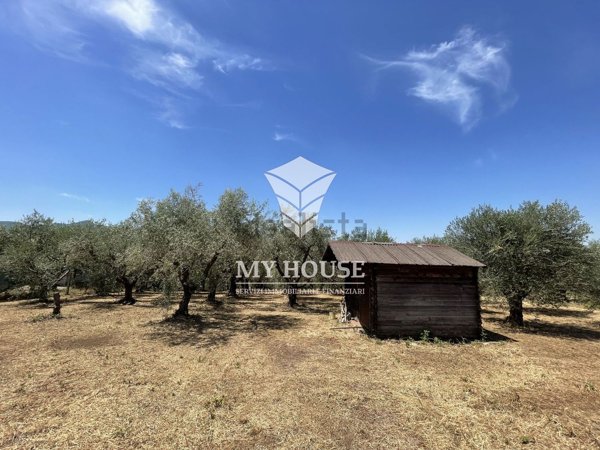 terreno agricolo in vendita a San Cesareo