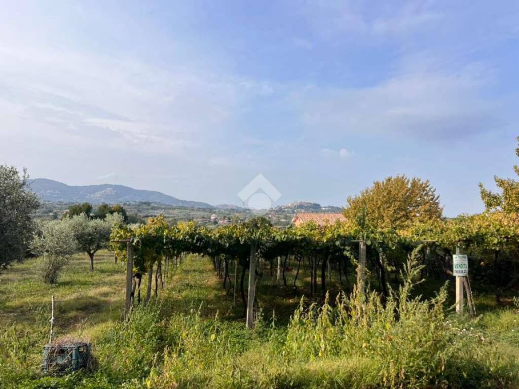 terreno agricolo in vendita a San Cesareo