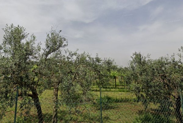 terreno agricolo in vendita a San Cesareo