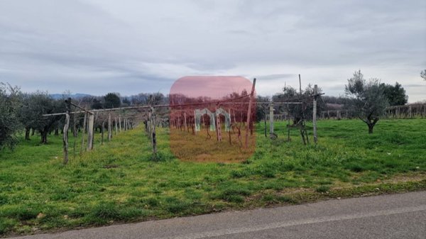 terreno agricolo in vendita a San Cesareo