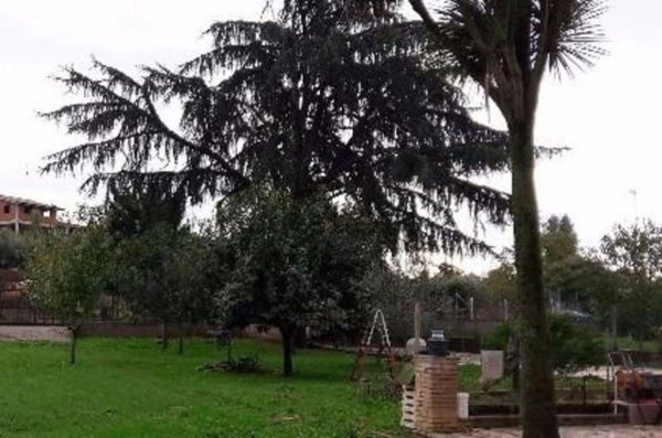 casa indipendente in vendita a San Cesareo