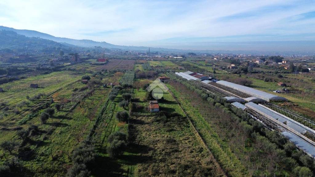 terreno agricolo in vendita a San Cesareo