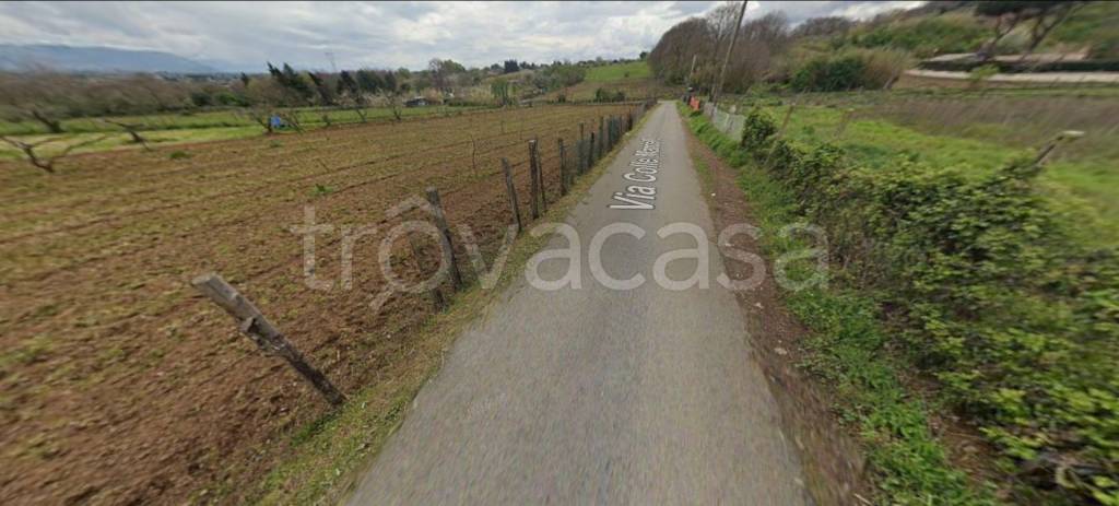 immagine annuncio 0 di 11