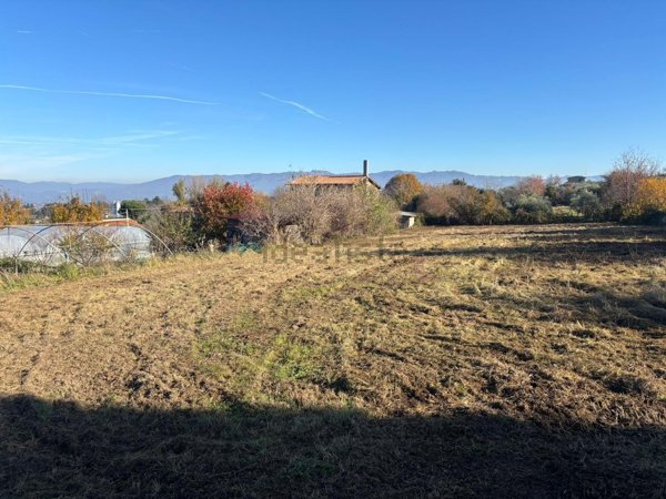 terreno agricolo in vendita a San Cesareo in zona Campo Gillaro