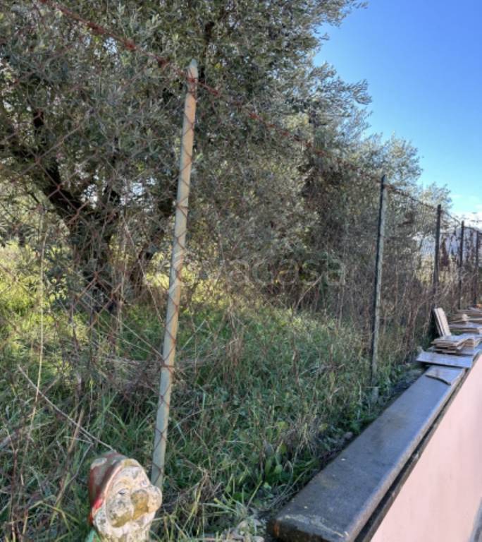 terreno agricolo in vendita a San Cesareo