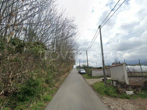 terreno agricolo in vendita a San Cesareo