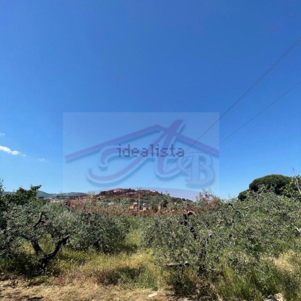 terreno agricolo in vendita a San Cesareo