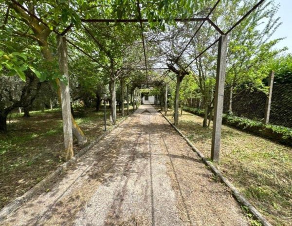 casa indipendente in vendita a San Cesareo