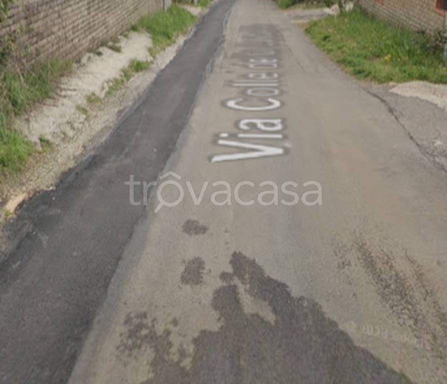 terreno agricolo in vendita a San Cesareo in zona Campo Gillaro