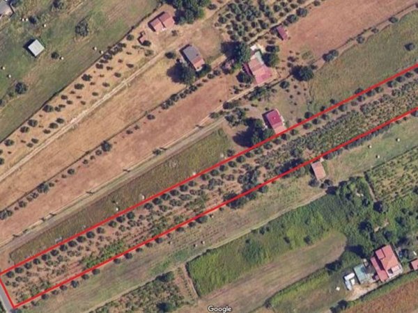 terreno agricolo in vendita a San Cesareo