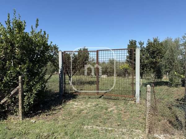 terreno agricolo in vendita a San Cesareo
