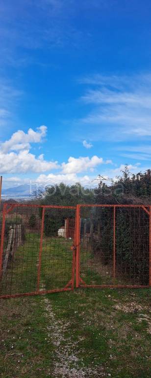 terreno agricolo in vendita a San Cesareo